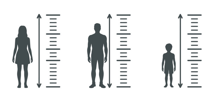 Human height growth measurement icon set, person silhouette with ruler scale fitness body size vector design for health tracking, growth monitoring and anthropometric measurement concept