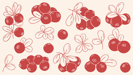 Cranberry berry set with leaves and branches, red outline doodle flat retro style. Minimalist hand drawn vector sketch, elements collection of forest harvest for Thanksgiving Day, jam or tea design © Coxic25