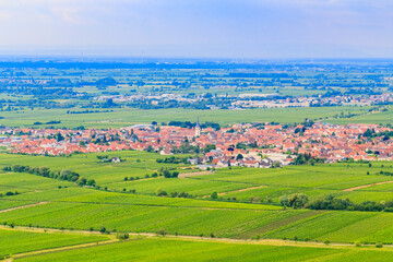 Obraz premium View of a village surrounded by green fields and vineyards in landscape during daytime in summer season