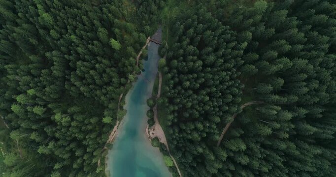 Aerial drone view of turquoise river winding through dense forest with tall trees and narrow path along water in Dolomites region under soft natural daylight