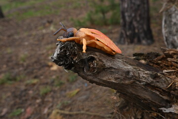 Obraz premium Artificial insect toy resting on natural tree branch in forest setting, contrasting nature elements and synthetic