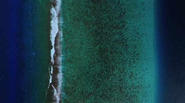 Coral Reef turquoise Lagoon channel pass South Pacific Ocean Mo'orea, Bora Bora, Opunohu Bay Public beach French Polynesia aerial drone Birdseye view sunny morning waves crashing static shot
