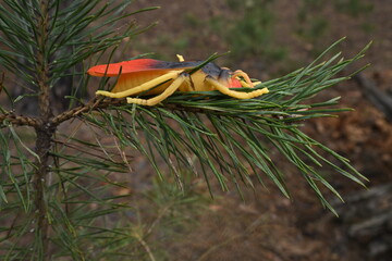 Obraz premium Toy insect sitting on a green pine branch capturing childhood and outdoor wonder exploration