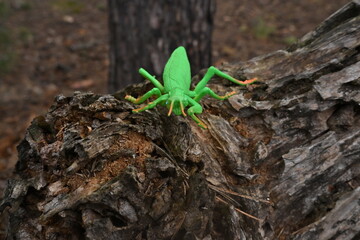 Obraz premium Green plastic locust toy standing on textured tree bark, representing artificiality, imagination and nature