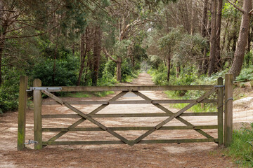 Fototapeta premium Wooden gate closing a dirt path through a green forest