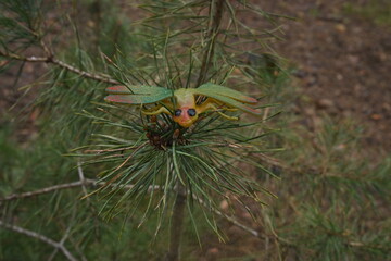 Fototapeta premium The fake insect is perched atop a fresh pine branch, adding a whimsical touch to its surroundings of real nature