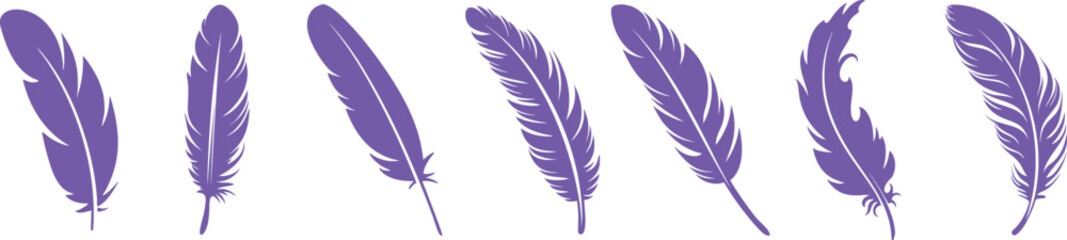 Obraz premium Hand Drawn Feather Vector Collection, Colorful Bird Feather Silhouette Set, Decorative Nature Illustration