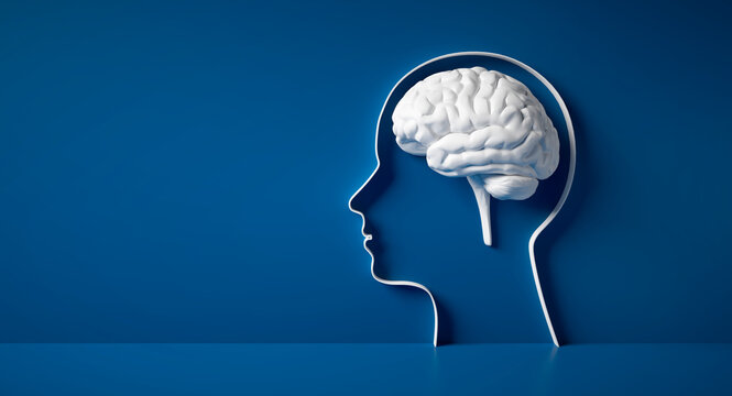 Conceptual artwork showing a 3D silhouette of a head with white brain against dark blue wall	