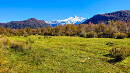 Fototapeta premium Snow Capped Cerro Tronador Peak with Vibrant Autumn Forest and Green Meadow in Patagonia