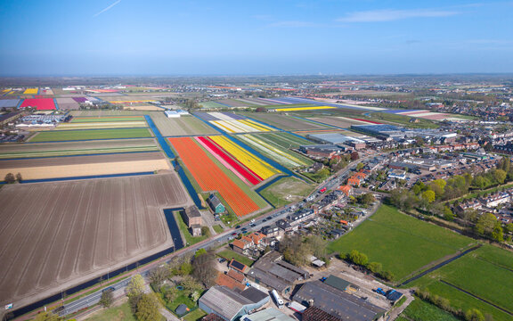 Aerial view of Keukenhof tulip fields with vibrant rows of flowers, farmhouses, and rural roads under a clear blue sky Lisse, Zuid-Holland, Netherlands.