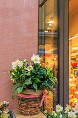 Obraz premium White flowers in a basket placed by a store window in a busy shopping area during the day