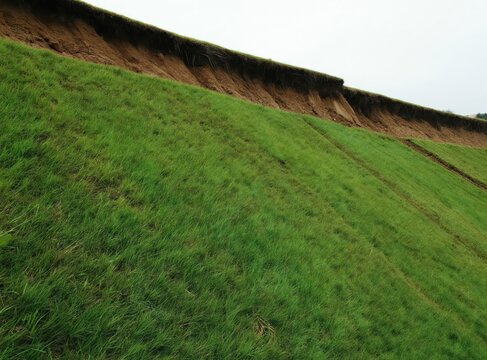 Green grass covers a steep earthy slope to prevent erosion. Hydroseeding method secures soil surface. Natural vegetation reinforces embankment structure.