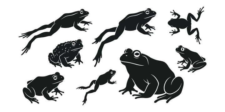 Black silhouette collection of frogs in various poses and perspectives