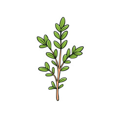 Obraz premium Simple hand drawn illustration of a green herb sprig with small leaves and a light brown stem