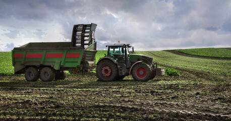 Obraz premium A tractor with a trailer on the field during harvest