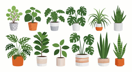 Fototapeta premium Vector potted plants, houseplants, leafy greens, 12 plant icons, botanical illustrations, gardening, interior design elements