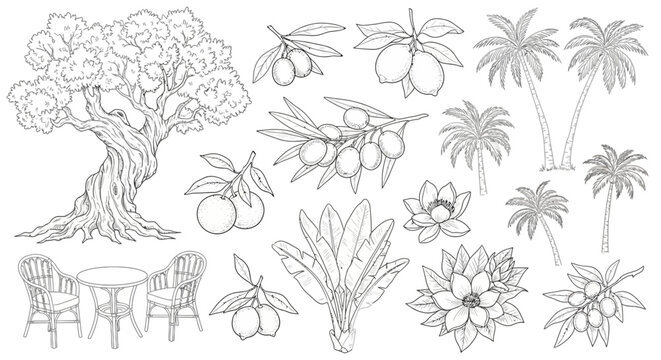 Tropical icons, palm trees, flowers, and fruit, line art illustrations, 20 elements, vector graphics