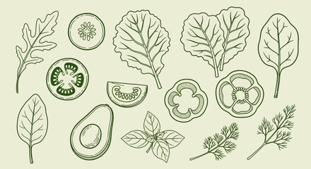 Fototapeta premium Fresh Fruit and Leaf Icons, Green Line Art, Vector Illustrations, Healthy Food Symbols, 13 Elements