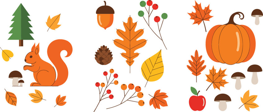 Autumn forest set with cute squirrel pumpkin colorful fall leaves mushrooms acorns and berries vector illustration for seasonal greeting cards and decorative projects.