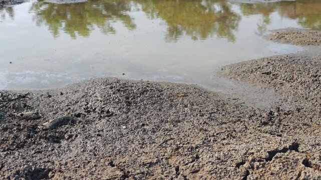 The water in a pond dries up from lack of water