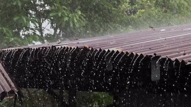 Rain fell on the old corrugated iron roof.