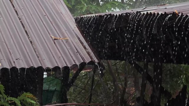 Rain fell on the old corrugated iron roof.