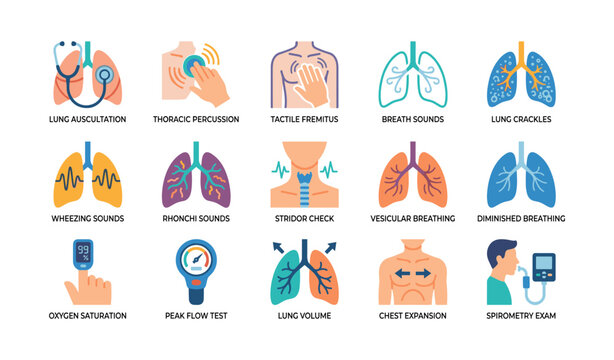 Respiratory examination icons showing lung tests and auscultation on white