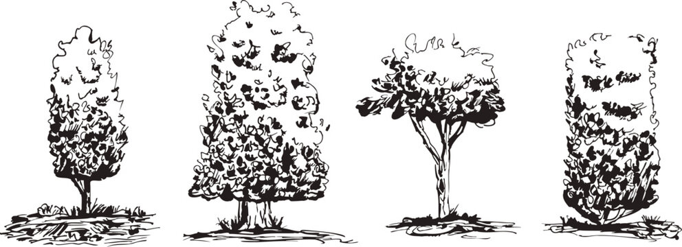 Hand-drawn tree sketches and hedge outlines in black ink. Simple line illustration set featuring forest plants and garden vegetation in doodle. Vector scribble naive brush stroke trees isolated no bg.