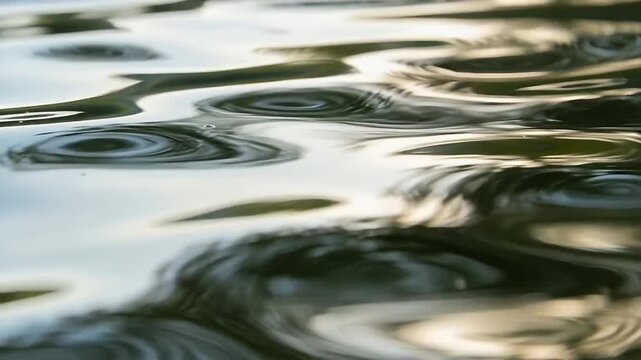 Rippling close-up pond water reacting to droplet impact, forming concentric rings and reflections