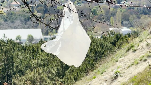 A single-use plastic bag hangs sadly from a bare branch above a lush green valley. This troubling sight evokes feelings of frustration and sorrow at the persistent impact of litter on nature.