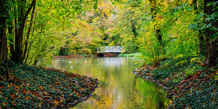 Colors of autumn in a quiet park with a small bridge and calm water reflecting trees