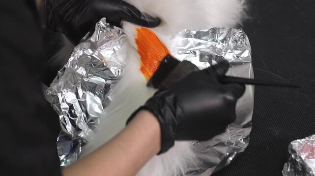 A female stylist applies an orange tint to the tail of a fluffy white cat at a contemporary grooming establishment.