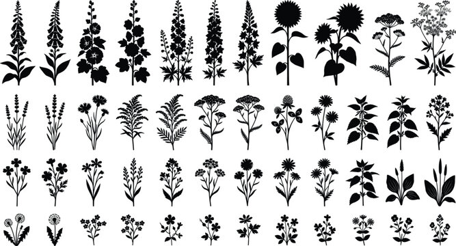   
Collection of black silhouette illustrations of diverse flowering plants arranged in rows, showcasing varied stems, leaves, and blossoms.