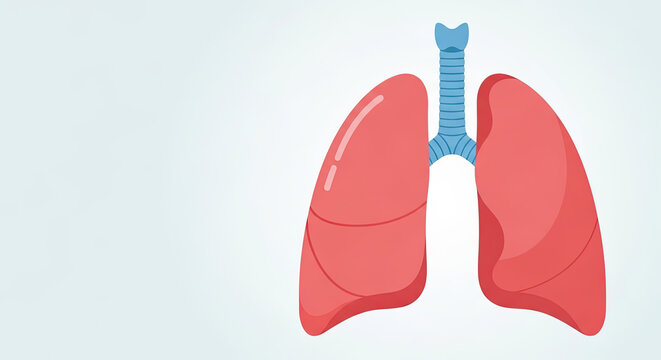 Detailed illustration of healthy lungs with a clean aesthetic representing respiratory health against a light background with copy space