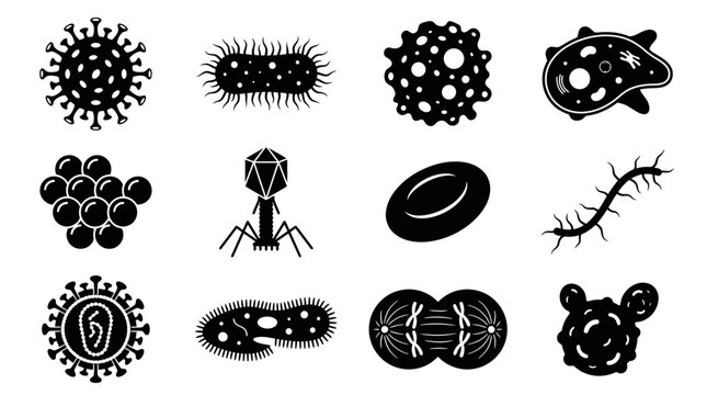 Set of monochrome microbial icons depicting various bacteria and viruses.