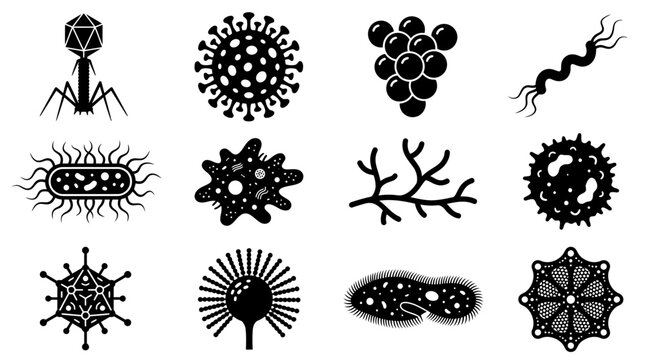 Set of various microscopic bacteria and virus icons in black silhouette style.