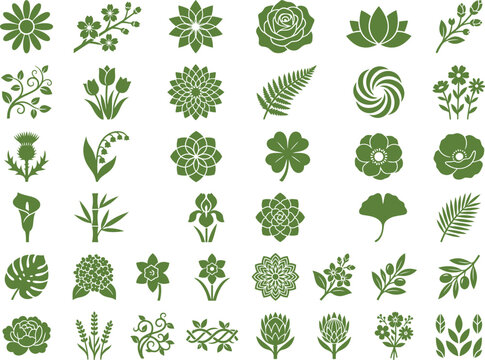 Green botanical collection different flowers and plants for nature design.
