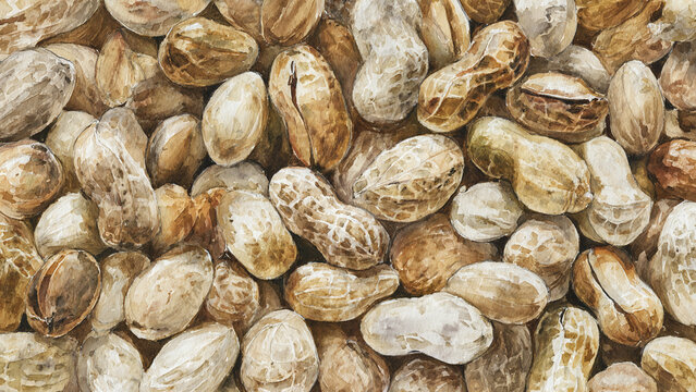 Watercolor illustration of peanuts in full frame composition, dense overlapping nuts with light brown tones and organic shapes, ideal for natural food background.