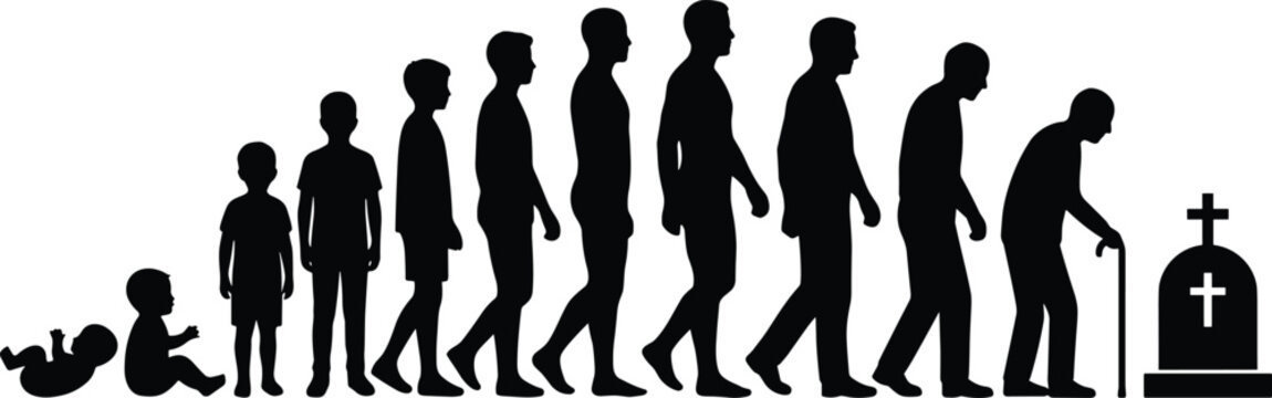 Human life cycle icons silhouette vector illustration featuring social motifs, decorative aging designs, abstract timeline patterns, and modern people art