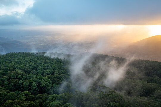 Foggy Mountain Road Surrounded by Forest at Mount Donna Buang