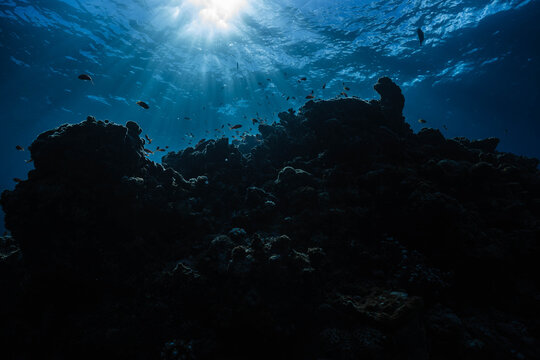 Sunlight rays shining through ocean water over coral reef