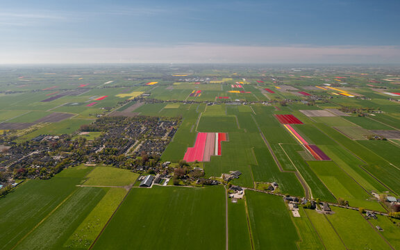 Aerial view of vibrant tulip fields with red and yellow flowers blooming amidst green agricultural land and a small village under a clear blue sky Netherlands.