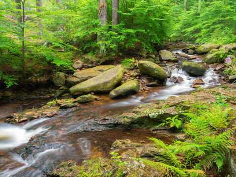 Die Ilsef&auml;lle am Bergbach Ilse im Ilsetal, Nationalpark Harz, Ilseburg, Sachsen-Anhalt, Deutschland 