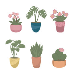 Obraz premium A cheerful collection of six decorative houseplants in colorful pots, featuring orchids, monstera leaves, daisies, leafy greens, succulents, and a cactus with a pink flower. 