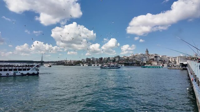 Scenic Istanbul Landscape: Galata Tower, Bosphorus Ferries, and Seagulls
