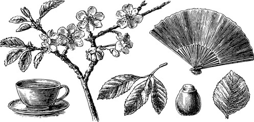 Fototapeta premium Cherry blossom branch with cup fan and leaf objects