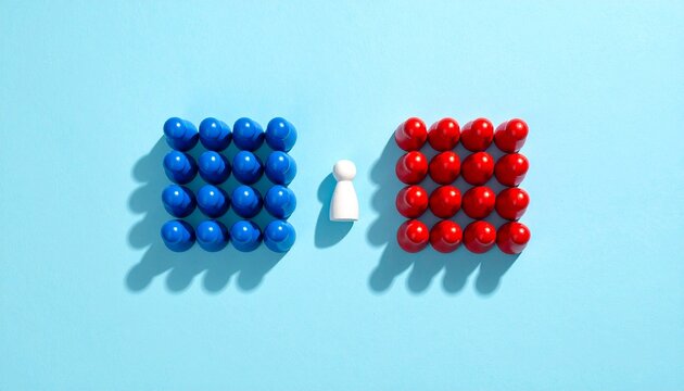 Divided Perspectives