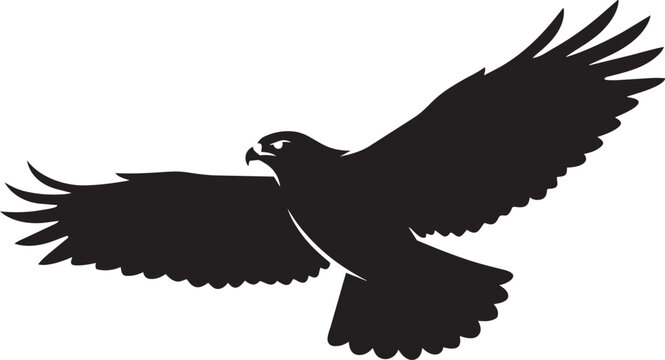 Silhouette of a soaring hawk in flight a powerful symbol of freedom and nature isolated on a clean white background