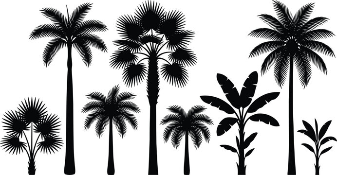 Palm and Tropical Tree Silhouette Set Featuring Coconut Palms, Banana Plants and Exotic Foliage in Black Vector Style for Summer, Beach and Island Design