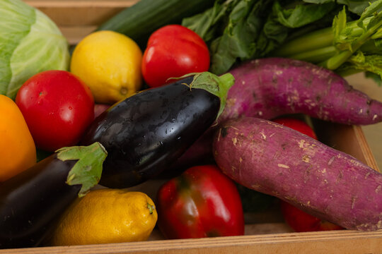 Glossy purple eggplant is resting in shallow wooden crate with tomatoes, peppers, lemon, cabbage